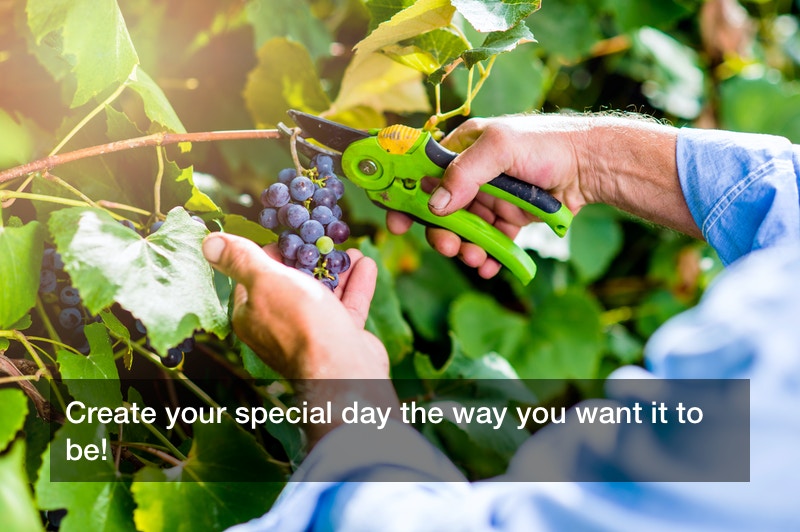 Create your special day the way you want it to be!